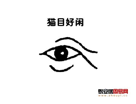 貓眼面相|貓眼面相圖解 